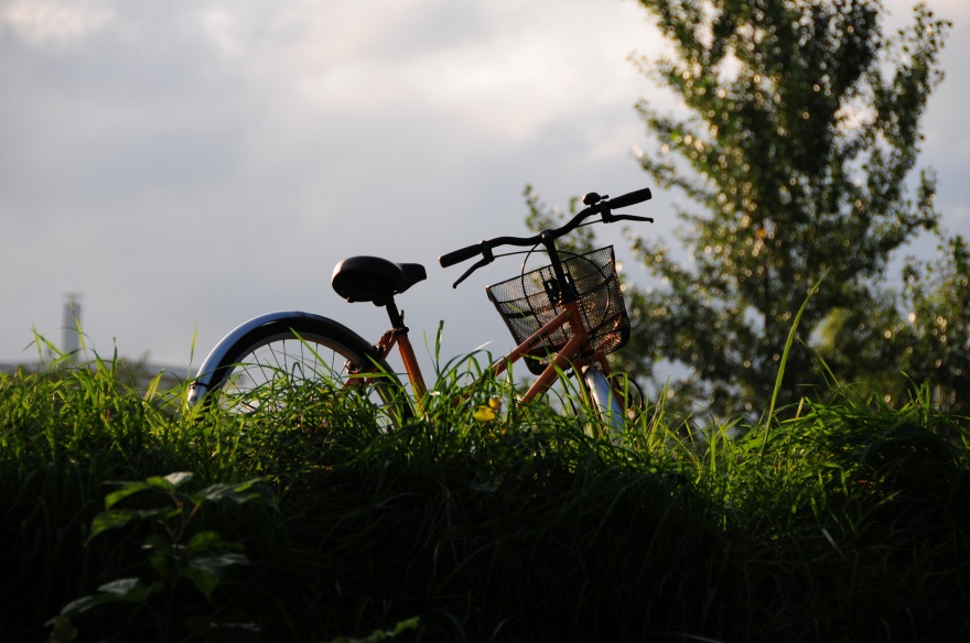 20130915夏に置かれた自転車