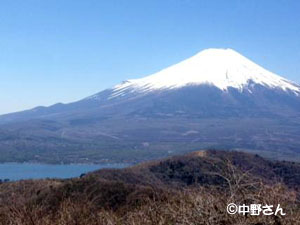 富士山の景色
