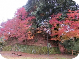亀山公園07