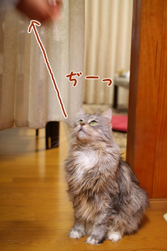 G131126_51.jpg