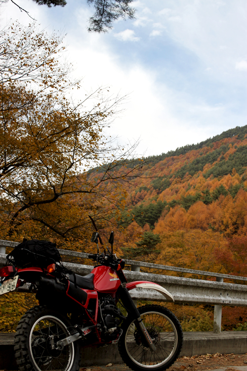 秋のバイクツーリング