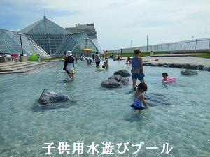 熱帯 植物園 函館