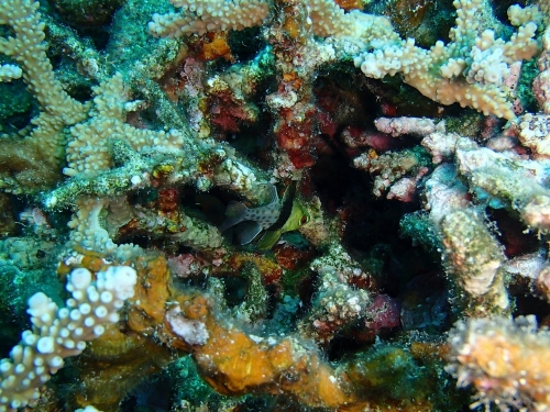 PB090013.jpg