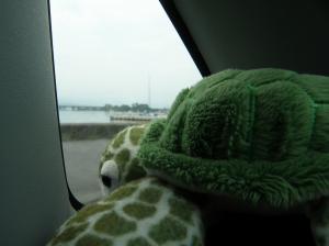 車から琵琶湖を見るみどりちゃん