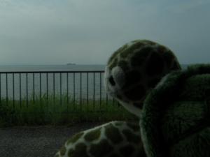 琵琶湖を見るみどりちゃん