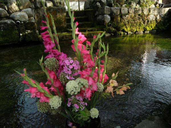 醒ヶ井の水色の花