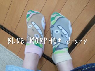 bluemorpho.diary.2013.5.6.2
