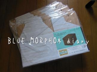 bluemorpho.diary.2013.5.9.1