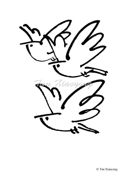 bird5.jpg