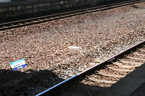 浦上駅の猫